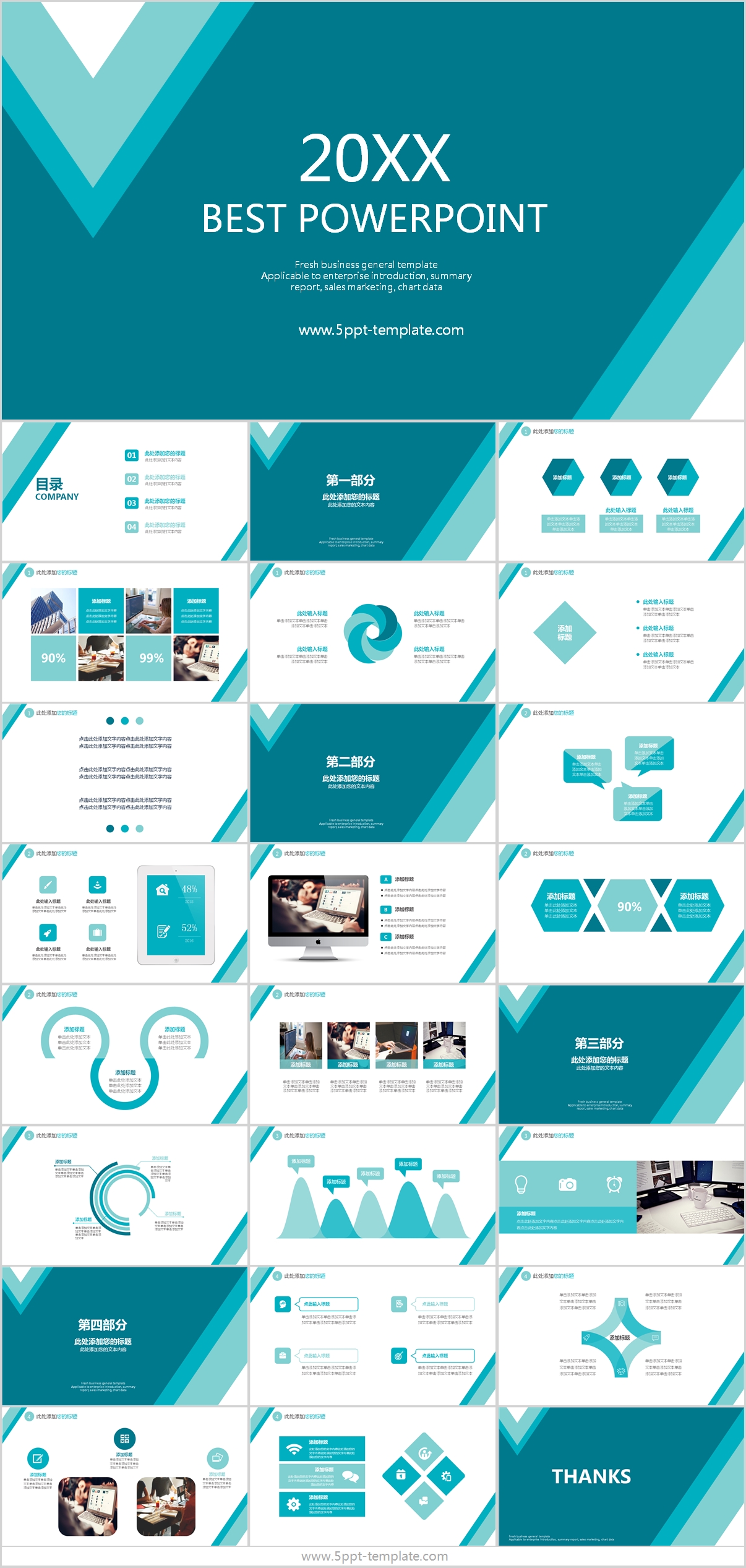 Career Summary Powerpoint Template